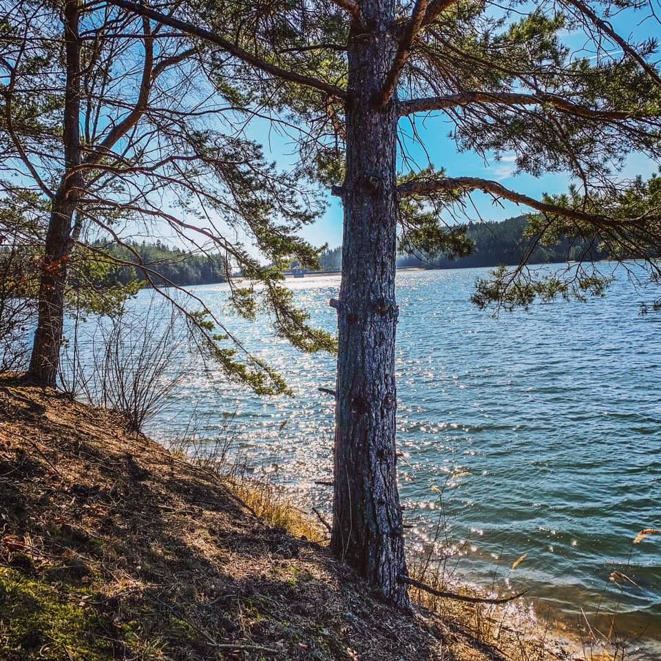 Česká Kanada