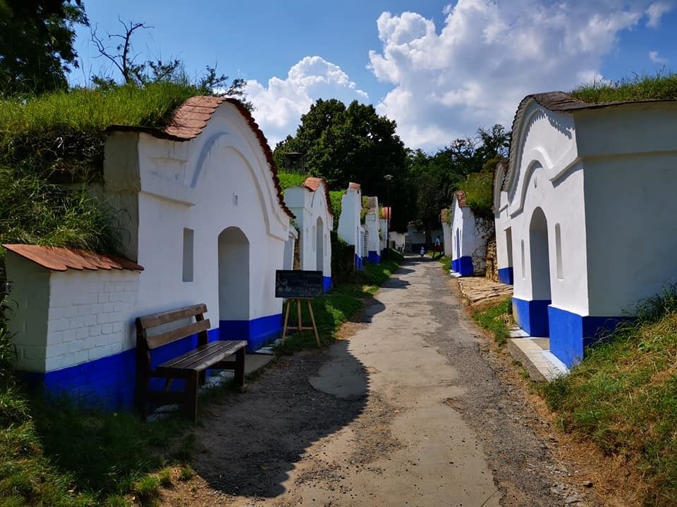 Vinné sklepy Plže