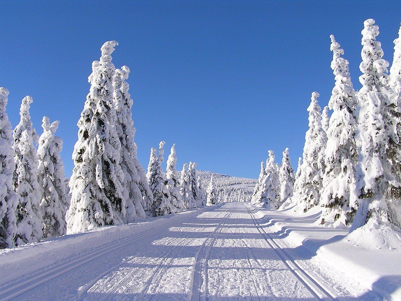 Krkonoše