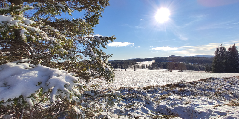 Šumava
