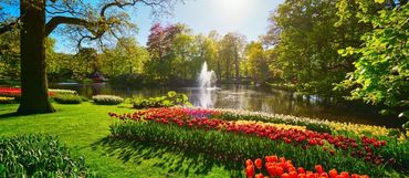 Nizozemsko otevřelo slavné „Zahrady Evropy“