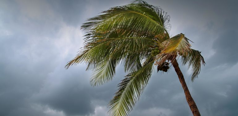 V jakých zemích hrozí přírodní katastrofy a co dělat při hurikánu, požáru a zemětřesení?