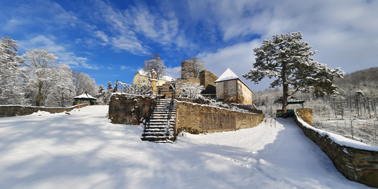 Hrad Svojanov
