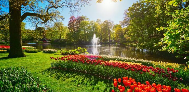 Nizozemsko otevřelo slavné „Zahrady Evropy“