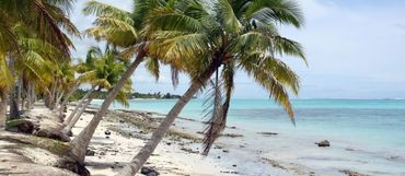 Samoa: Kdysi ostrov kanibalů je dnes oblíbenou turistickou destinací