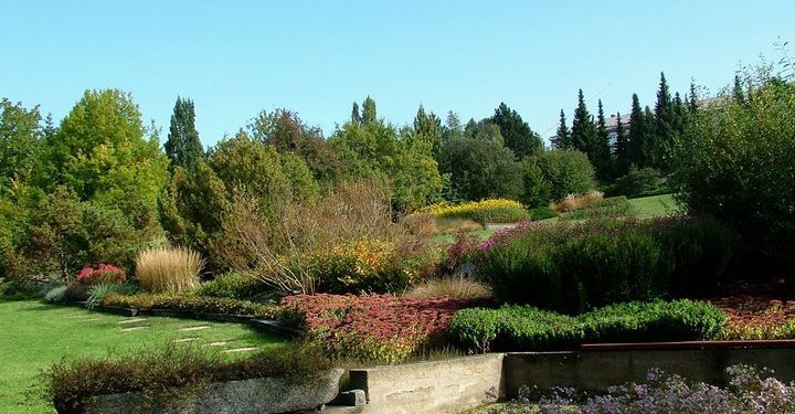 Poznejte krásy botanických zahrad Česka – díl III.