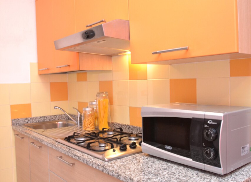 Apartmány Lion