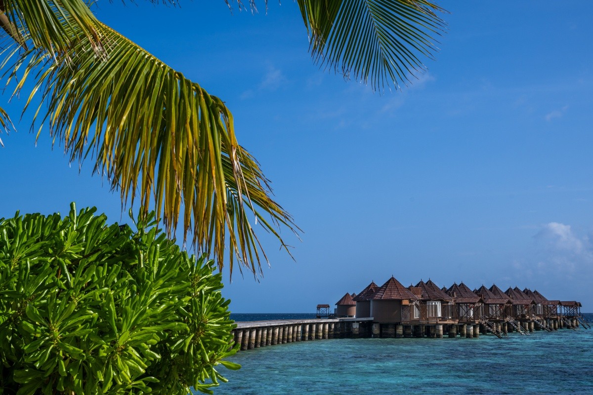 Nika Island Resort