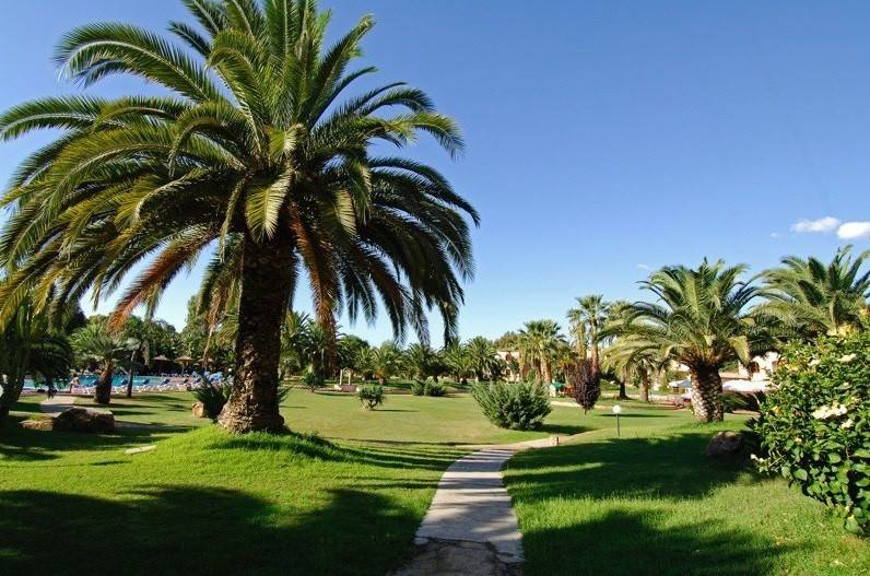 Baia Delle Palme