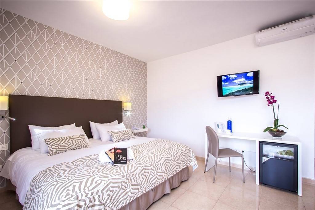Arena Suite