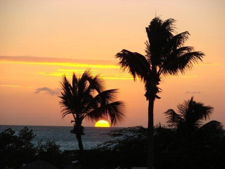 Amsterdam Manor Beach Resort