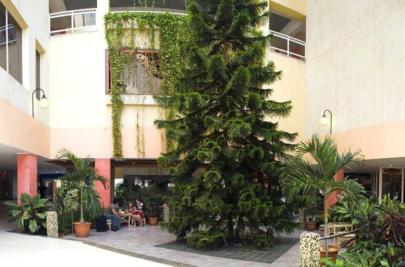 Occidental Arenas Blancas (Ex. Barceló Solymar Arenas Blancas)