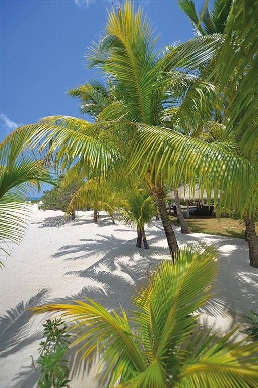 Dinarobin Beachcomber Golf Resort & Spa