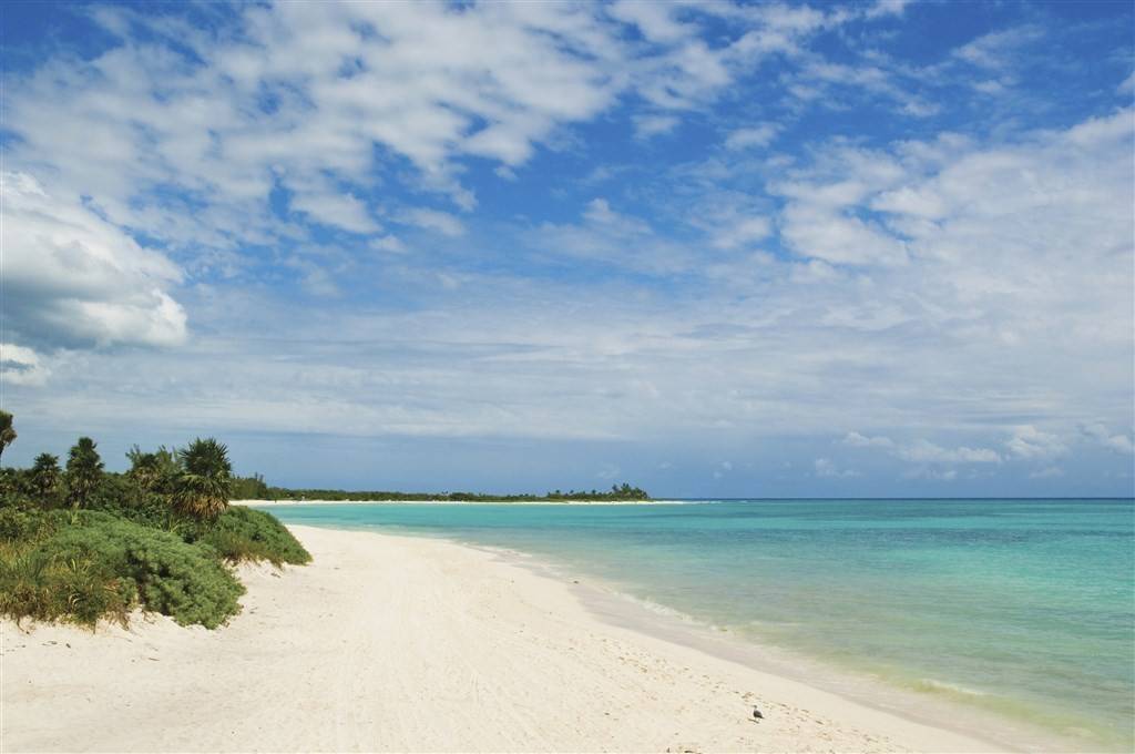 Paradisus La Perla