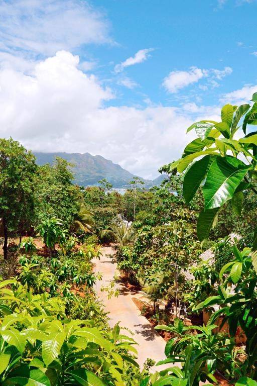 Cerf Island Resort