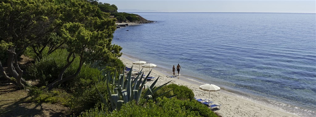 Is Morus Relais