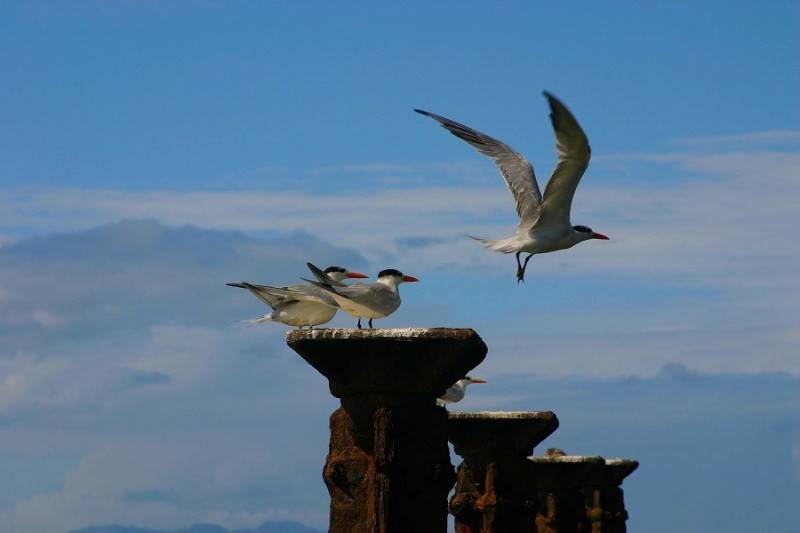 Wyndham Alltra Samana (Ex. Grand Paradise Samana)