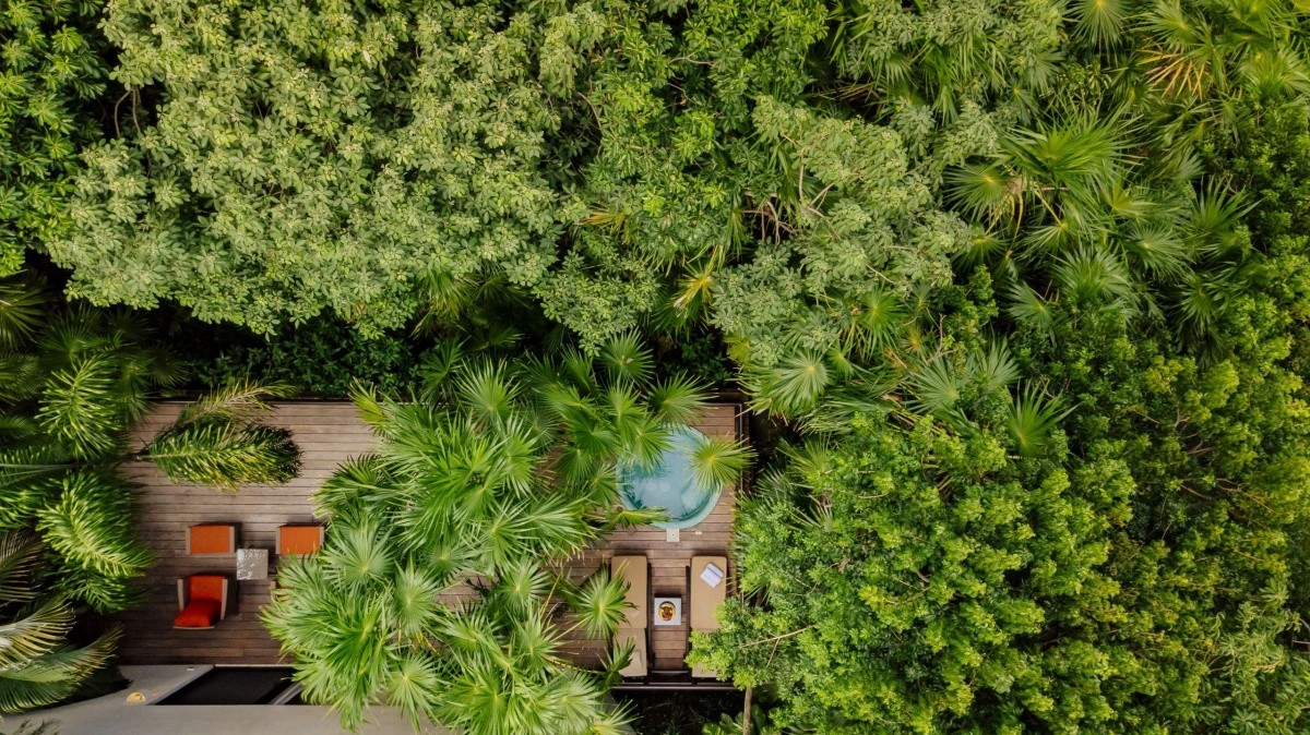 Occidental Xcaret Destination