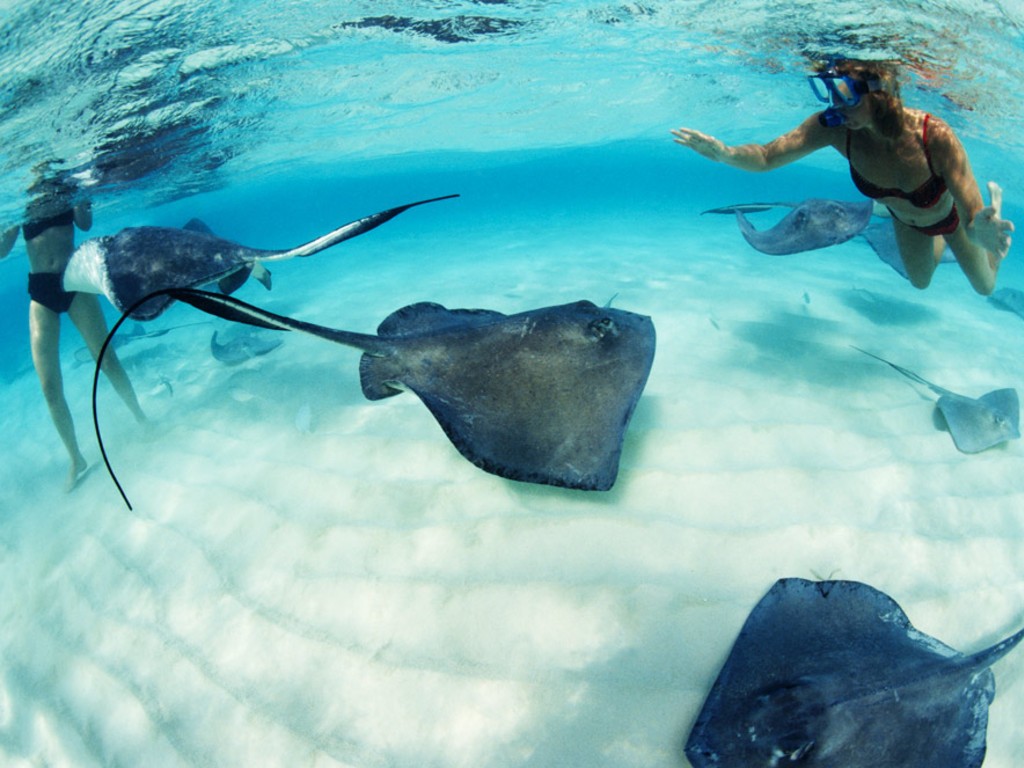 Occidental Xcaret Destination