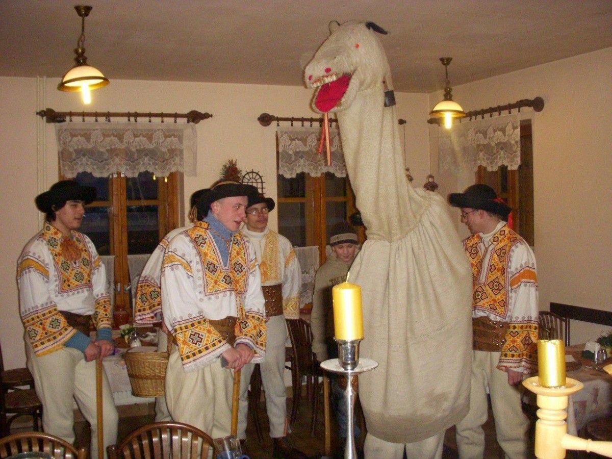 Penzion Javorina