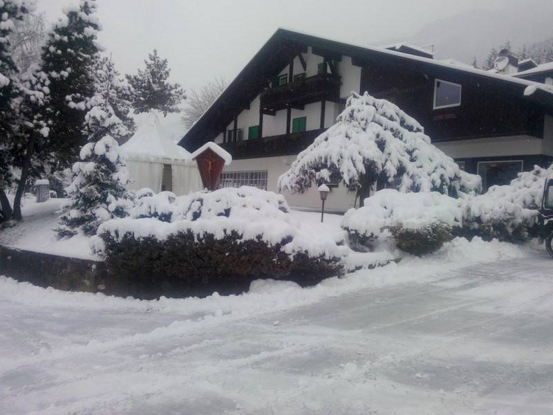 Regina Delle Dolomiti (Panchia)