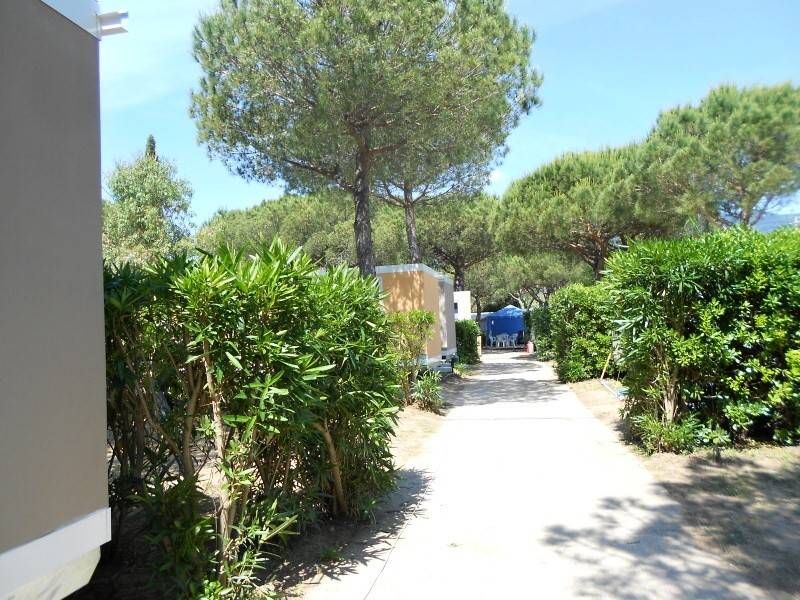 Camping Ville Degli Ulivi