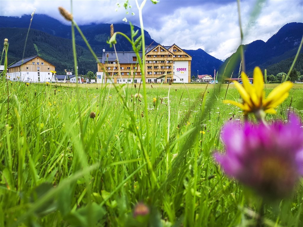 Cooee Alpin Dachstein