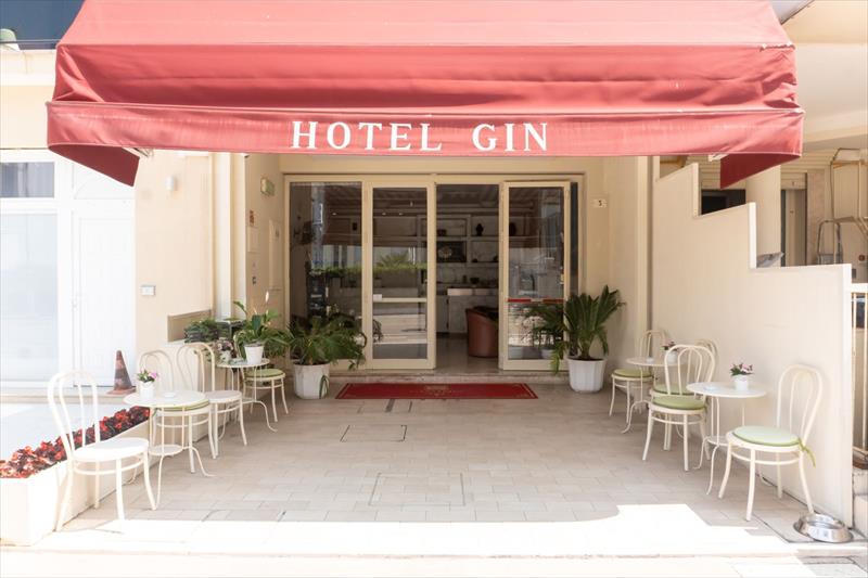 Gin