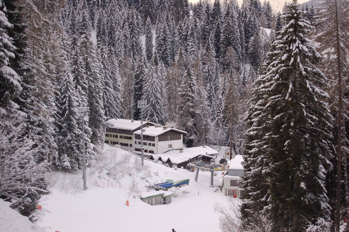 Selva