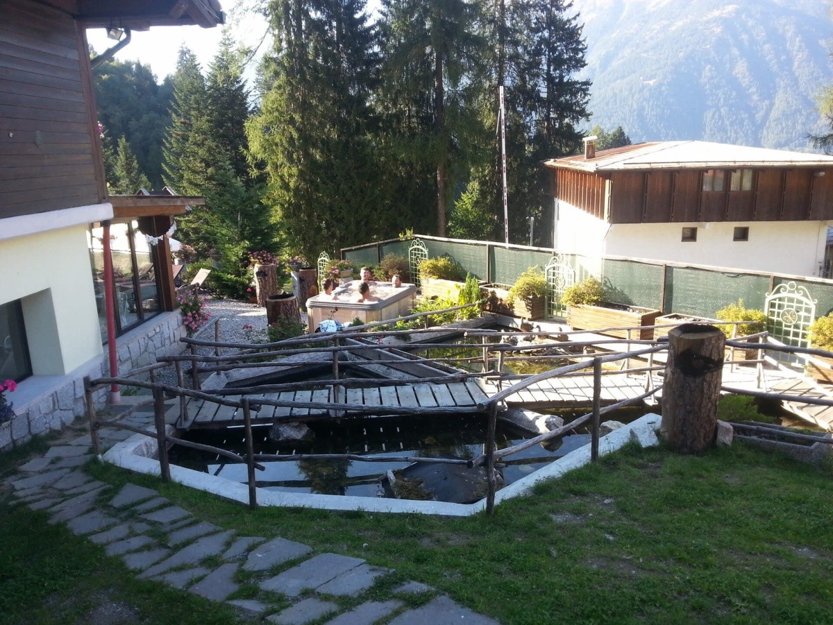 Selva