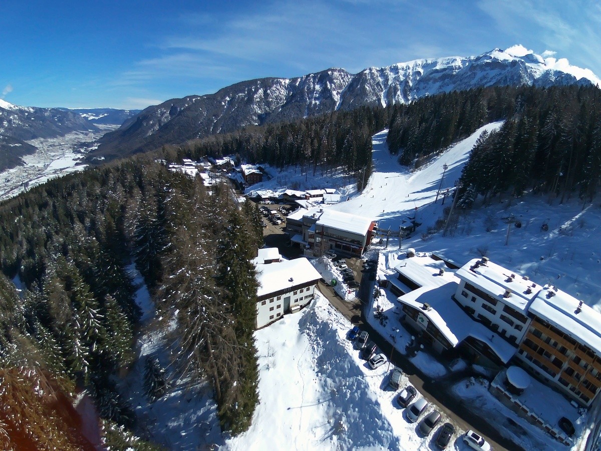 Selva