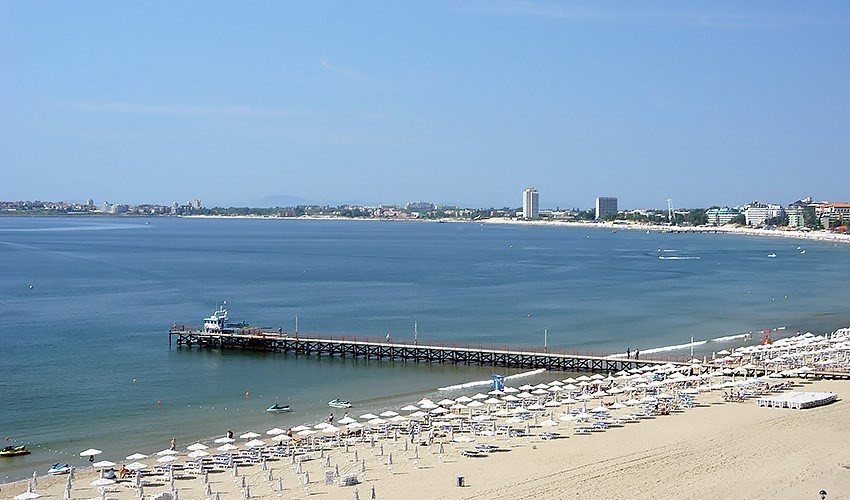 Aktinia