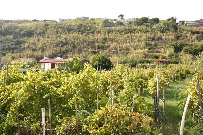 Castiglione Village & Spa