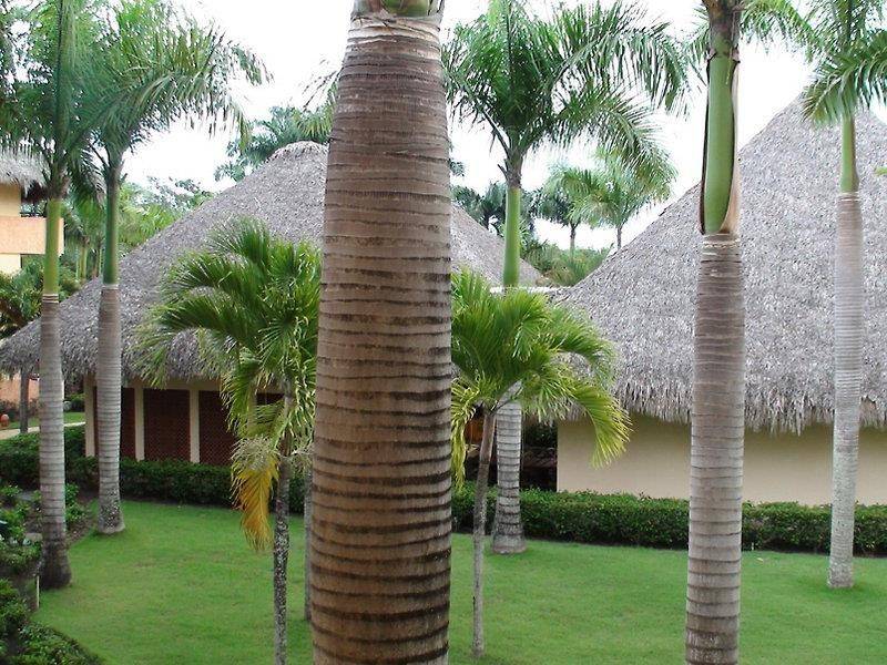 Iberostar Costa Dorada