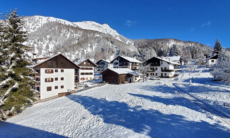 Stella Alpina (Bellamonte)