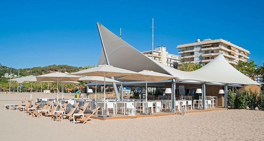 Kaktus Playa