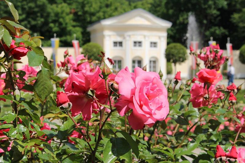 Das Gutenbrunn Thermen & Sporthotel (Baden Bei Wien)