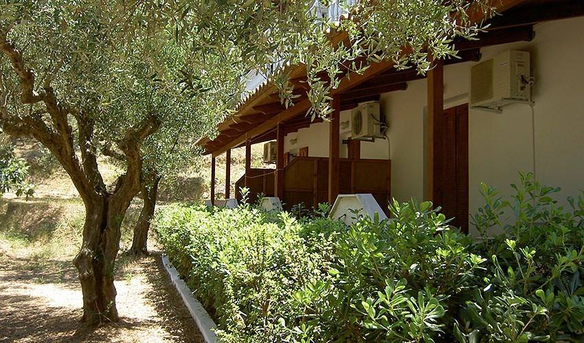 Studia Athina (Tsilivi)