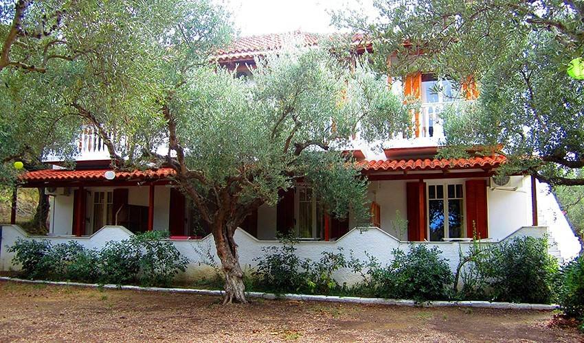 Studia Athina (Tsilivi)