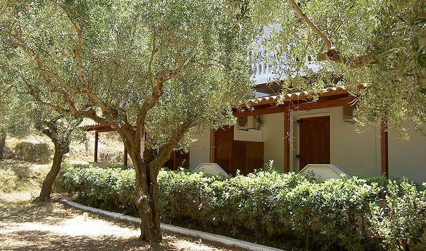 Studia Athina (Tsilivi)