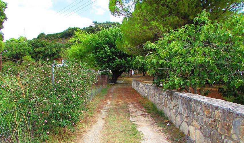 Studia Athina (Tsilivi)