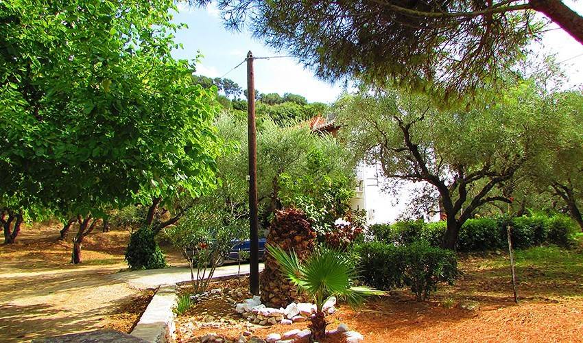 Studia Athina (Tsilivi)