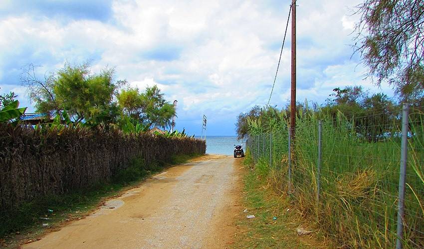 Studia Athina (Tsilivi)