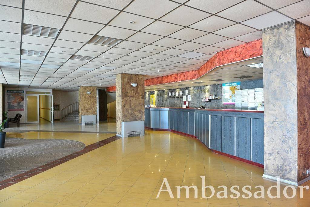 Ambassador
