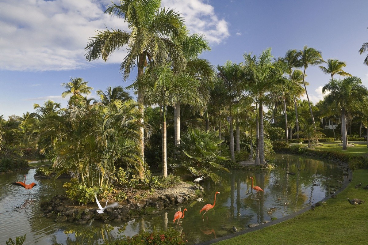 Melia Caribe Beach Resort
