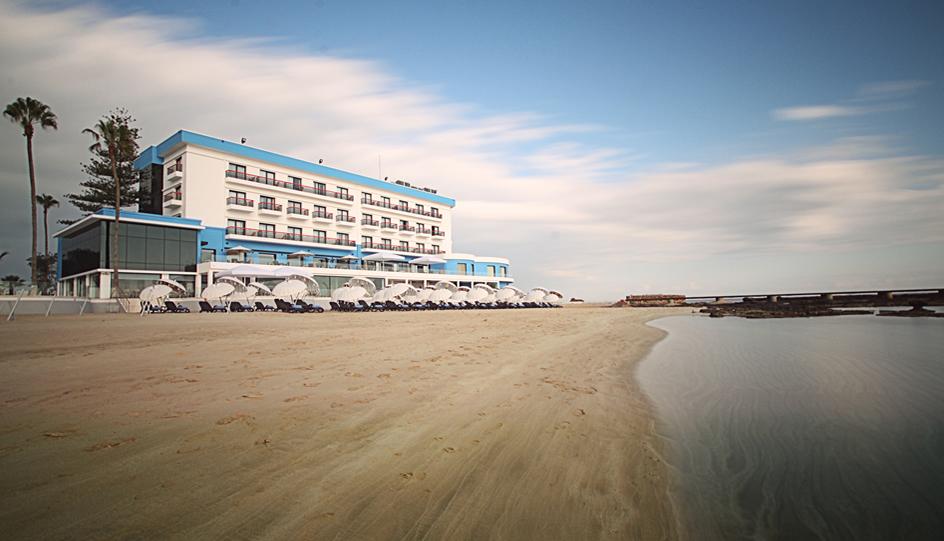 Arkin Palm Beach