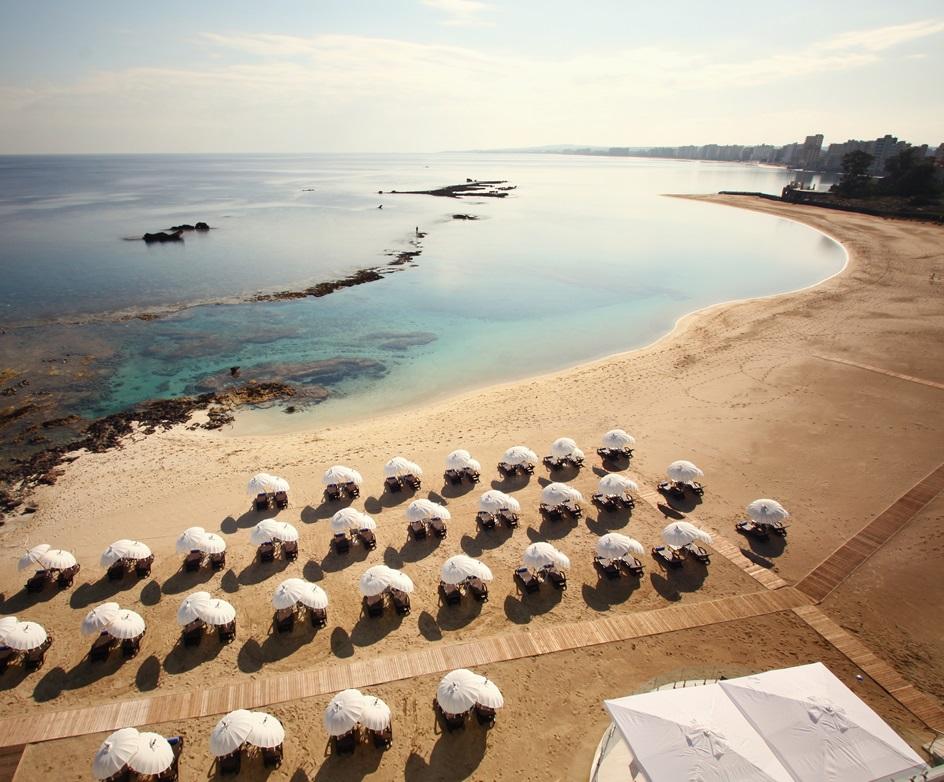 Arkin Palm Beach