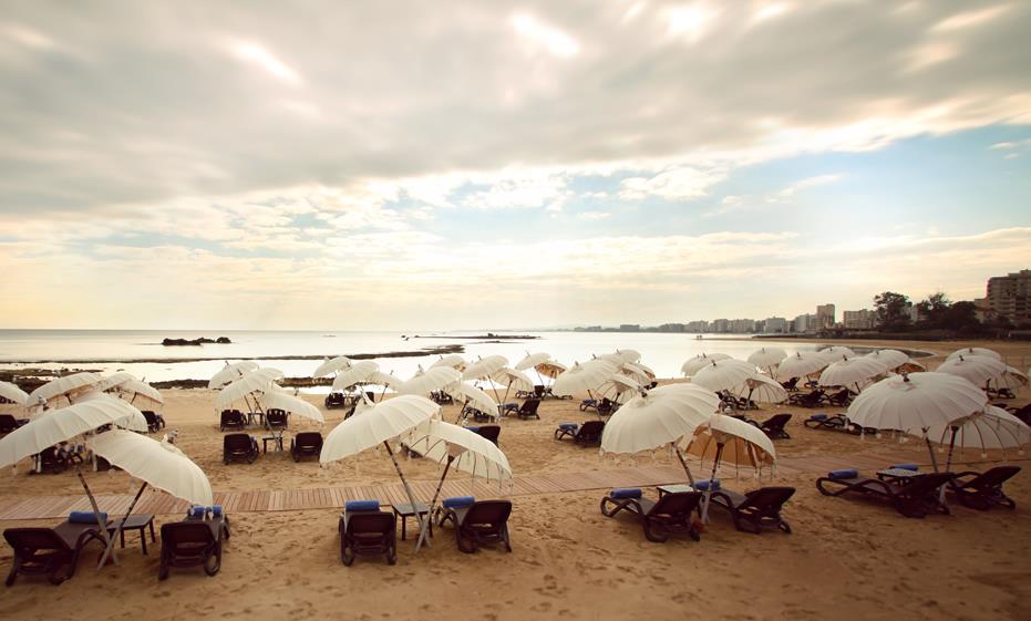 Arkin Palm Beach