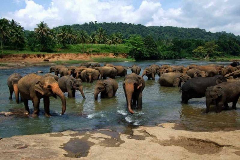 Oak Ray Haridra Beach Resort (Ex. Vendol Resort)