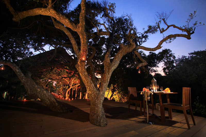 Jungle Beach Resort
